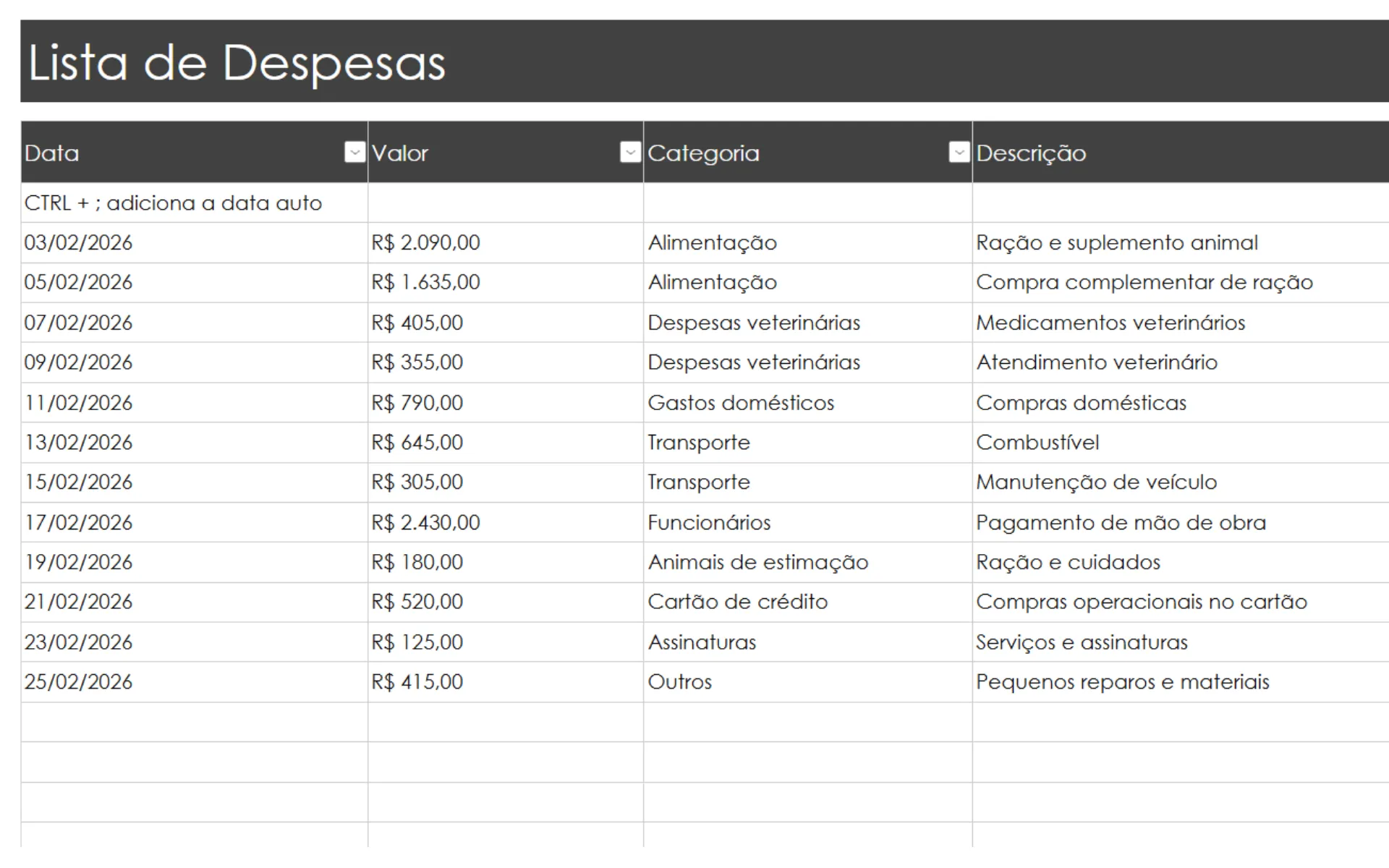 Organização de receitas e despesas na planilha