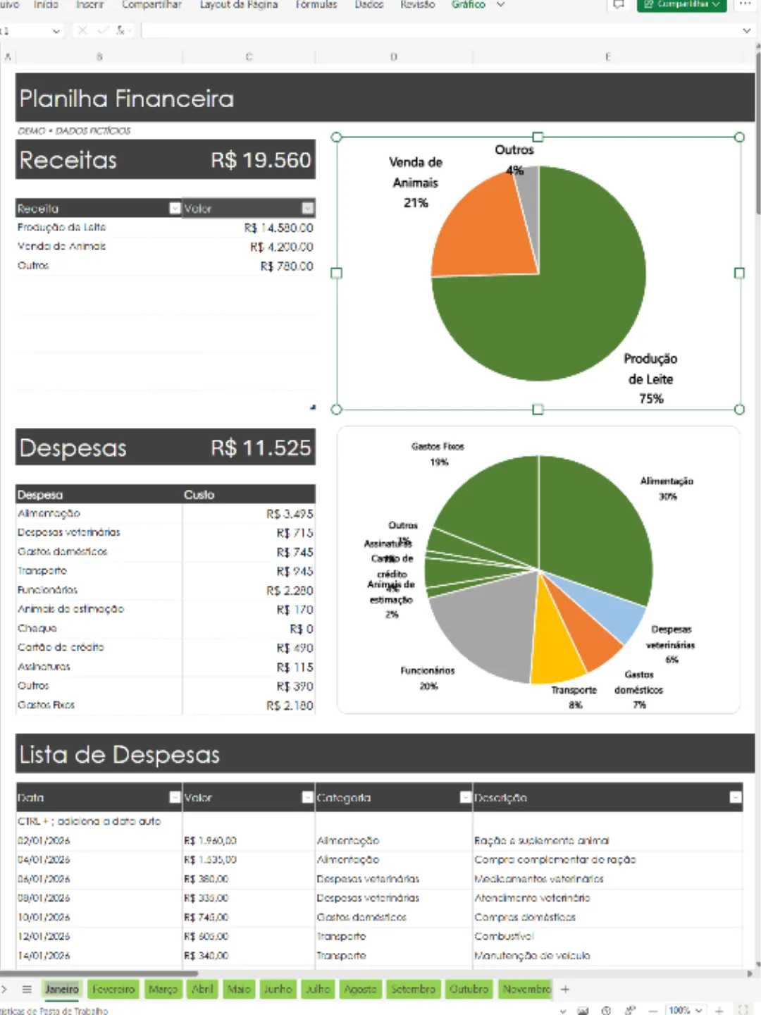 Visão vertical do controlador financeiro em Excel